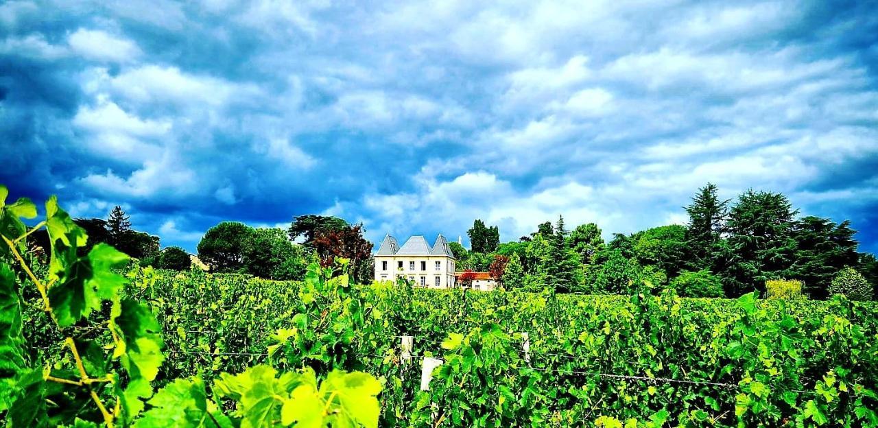 Chateau Tanesse De Tourny Bayon Exteriör bild
