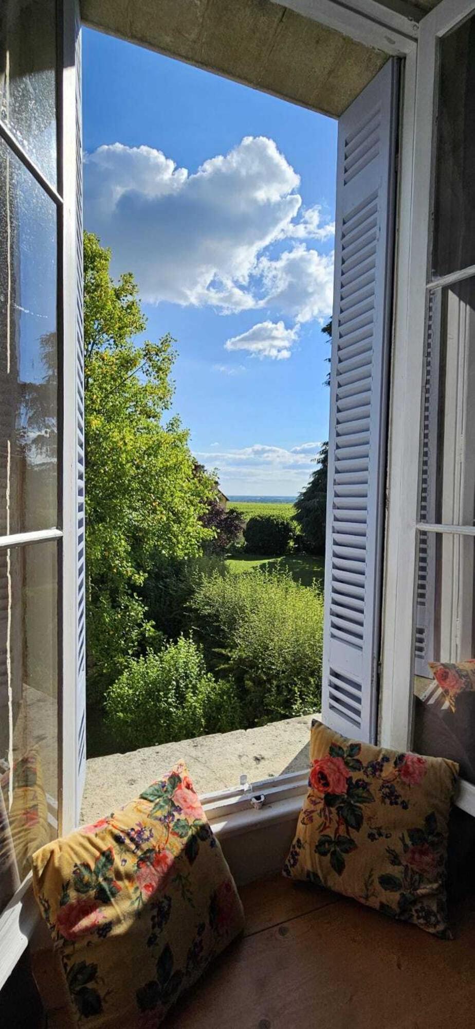 Chateau Tanesse De Tourny Bayon Exteriör bild